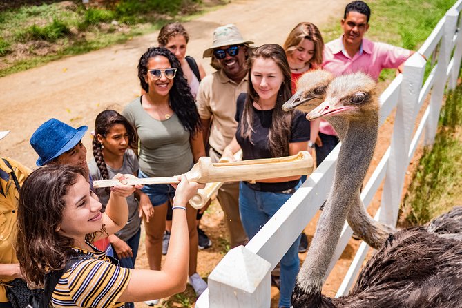Eco Park Punta Cana by Marinarium Parks - Dominican culture, fruit, and the sugar mill
