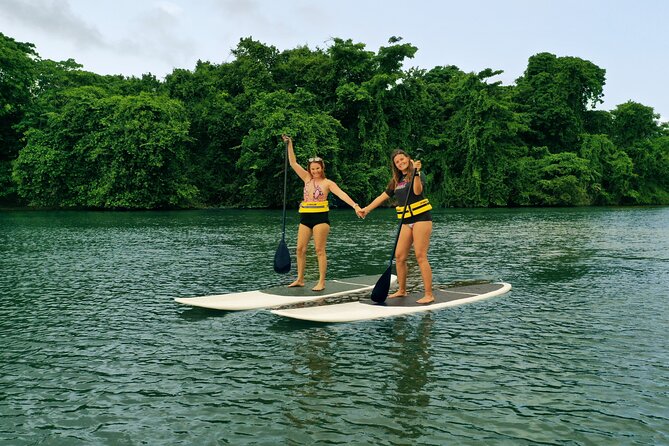 Eco Park Punta Cana by Marinarium Parks - Hilltop swings and the beehive sanctuary