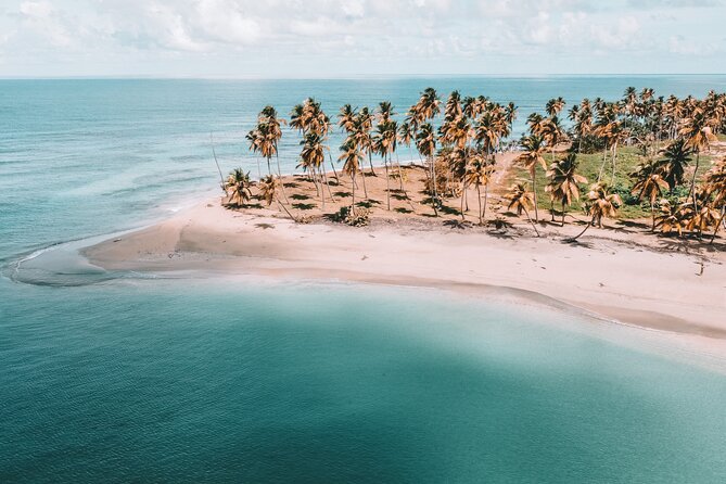 ECO TOUR Playa El Limon (Excursion Multi-activites) - Why this Punta Cana day trip feels different