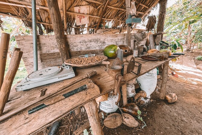ECO TOUR Playa El Limon (Excursion Multi-activites) - Rancho Típico and a proper Dominican lunch