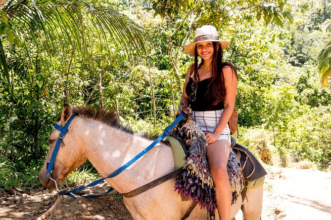 El Limon Waterfall and Bacardi Island Tour from Punta Cana with Lunch Included - Is the $149 price fair?