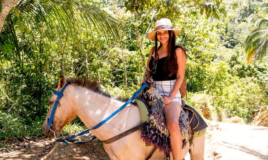 El Limon Waterfall & Bacardi Island Full-Day Adventure - Who should book this Samaná adventure