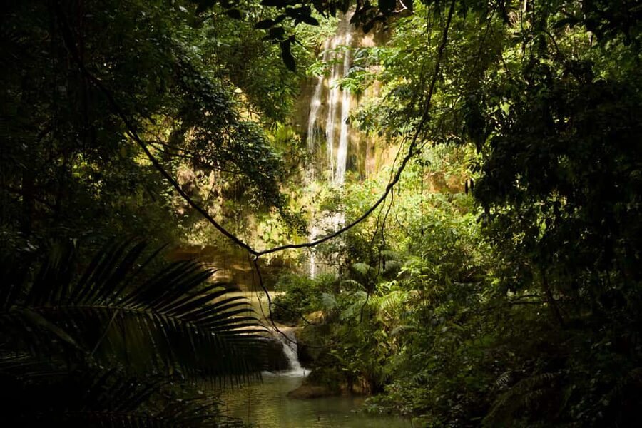 El Limón: Waterfall Hiking Tour with Lunch - Swimming beneath El Limón waterfall