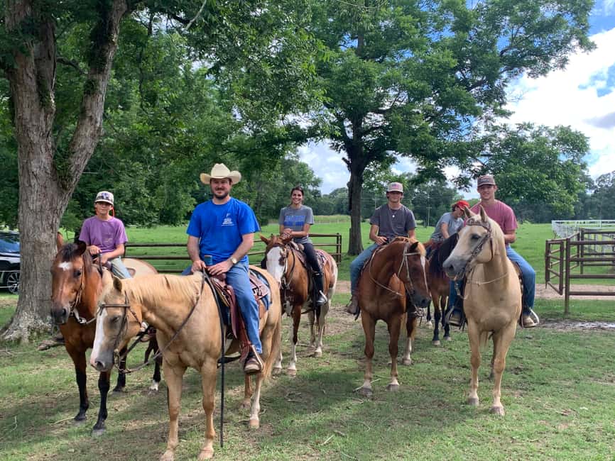 El Limón: Waterfall Horseriding Tour with Lunch - Riding from the ranch into Samaná’s forest