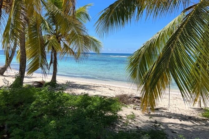 Exclusive Adventure in Saona: Small Group - From Bayahibe to Cotubanama National Park