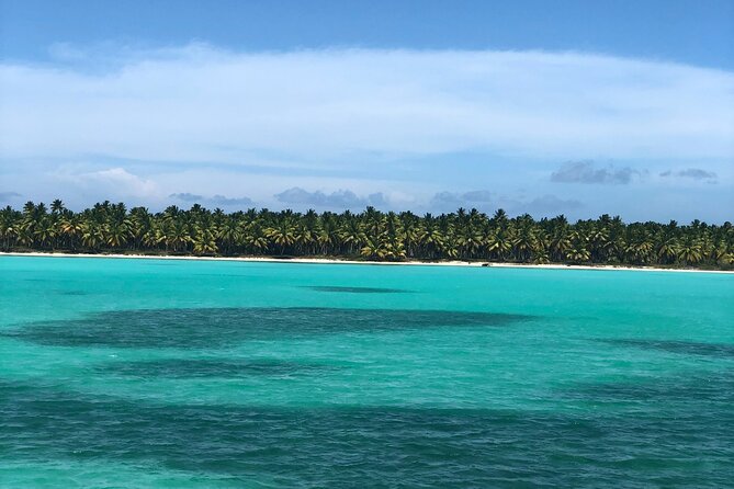 Exclusive Adventure in Saona: Small Group - Timing, comfort, and practical concerns
