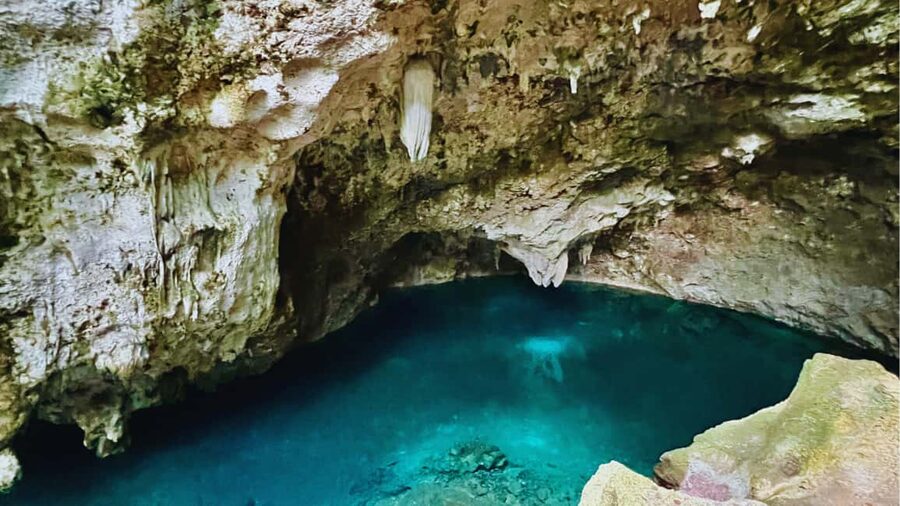 Exclusive VIP Excursion: Santo Domingo from Punta Cana – Private Service - How private is this VIP excursion?