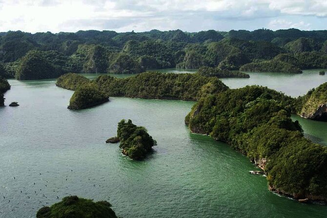 Excursion Los Haitises + Cayo Levantado (Bacardí Island) from Santo Domingo - Key details to know before booking