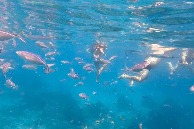 Excursion to Catalina Island and Snorkeling from Punta Cana - Snorkeling at The Wall
