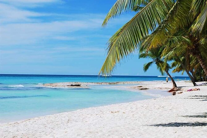 Excursion to Catalina Island and Snorkeling from Punta Cana - Guides, safety, and the group atmosphere