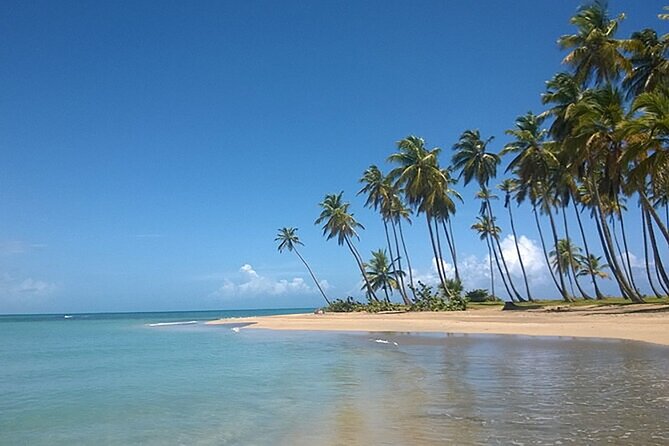 Excursion to Montaña Redonda and Playa Esmeralda from Punta Cana - A small-group ride with personal service
