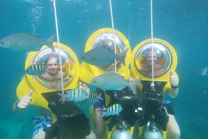 Experience a Submarine Scooter with ScubaDoo Punta Cana - Marine life and what you might see