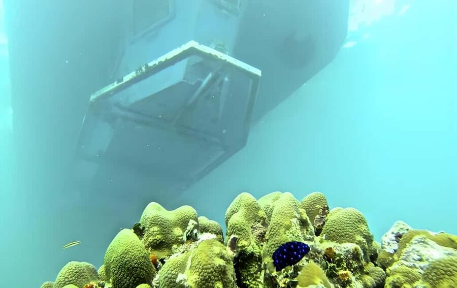 Experience the Exciting Caribbean Underwater World - Final verdict: book it for variety, not guarantees