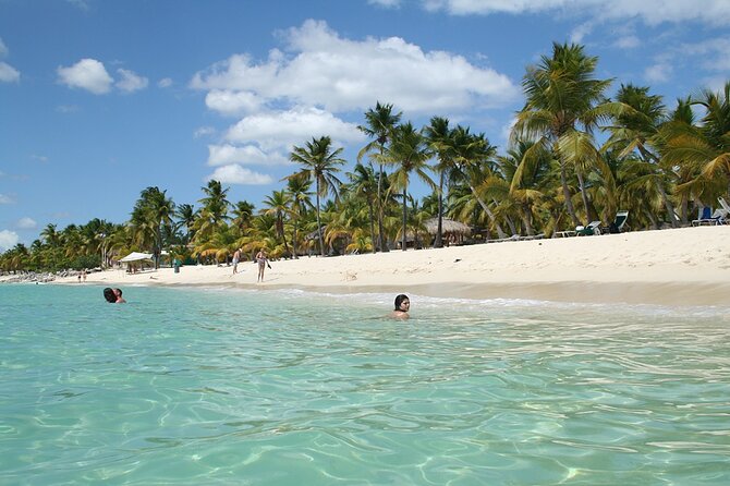 Explore Catalina Island & Snorkeling Adventure from Punta Cana - From Punta Cana to the marina