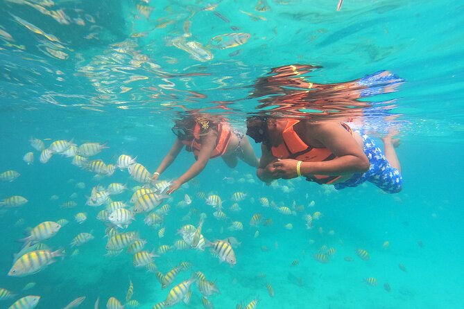 Explore Catalina Island & Snorkeling Adventure from Punta Cana - How much time do you actually get?