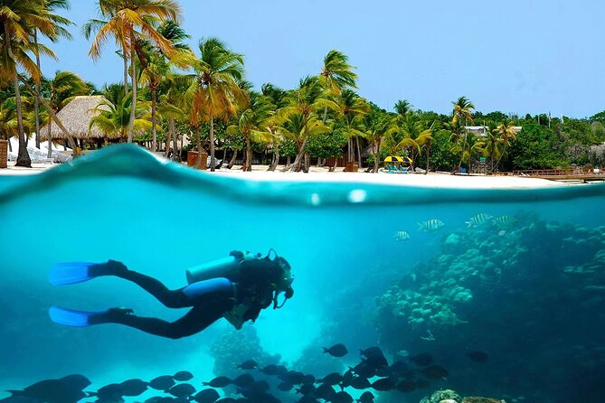 Explore Catalina Island & Snorkeling Adventure from Punta Cana - Is $80 a good value?