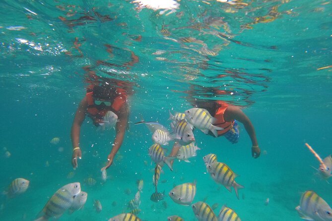 Explore Catalina Island & Snorkeling Adventure from Punta Cana - Practical advice for a smoother day