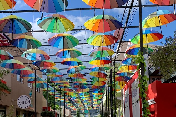Explore Puerto Plata's Best & Cable Car - Shore Excursion - Key points to know before booking