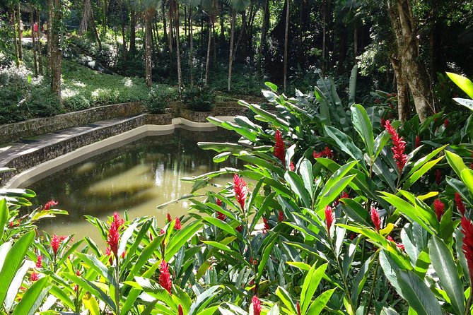 Explore Puerto Plata's Best & Cable Car - Shore Excursion - Why this tour works well for a short port stop