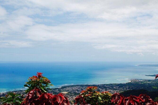 Explore Puerto Plata's Best & Cable Car - Shore Excursion - Umbrella Street, Pink Street, and the Malecón