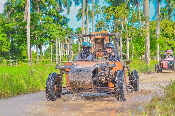 Explore Punta Cana in Buggy - Key points to know before booking