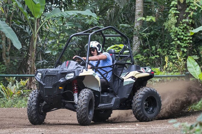 Extreme Jungle, water Cave, and Beach Buggy-Atv Punta Cana - Coffee, cacao, chocolate, cigars, and Mamajuana
