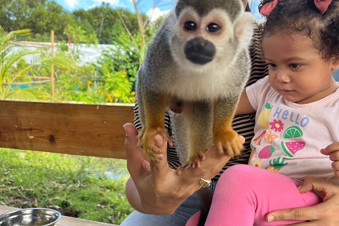 Family ATV Tour & Monkey Private Van - What $160 per person really buys