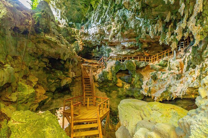 Family Buggy Adventure in Punta Cana - Is $50 a fair price?