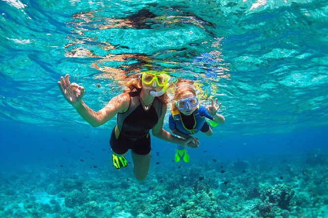 Family Snorkeling Adventure Punta Cana - Key points to know before booking