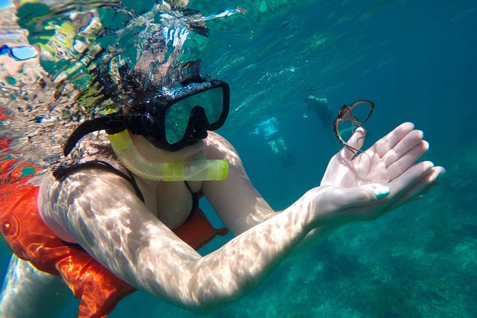 Family Snorkeling Adventure Punta Cana - Starting at Bavaro Beach at 9 a.m.