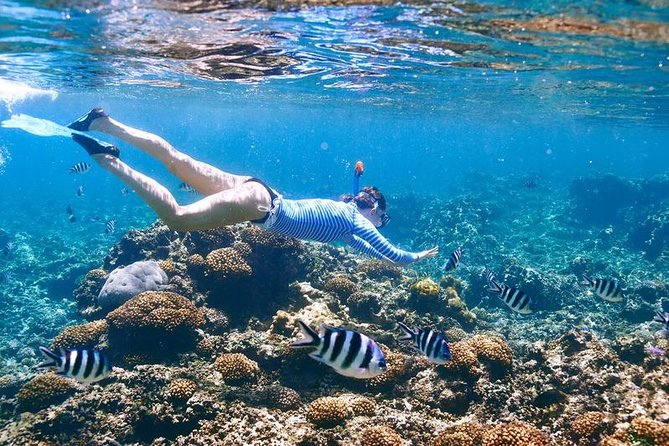 Family Snorkeling Adventure Punta Cana - How family-friendly is the experience?
