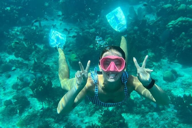 Fantastic Catalina island, beach and depth - Catalina Island snorkeling with a river cruise afterward