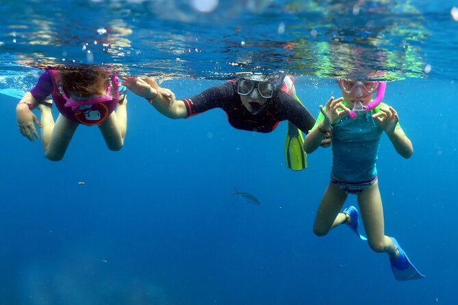 Fantastic Catalina island, beach and depth - The 10-meter wall at Catalina Island
