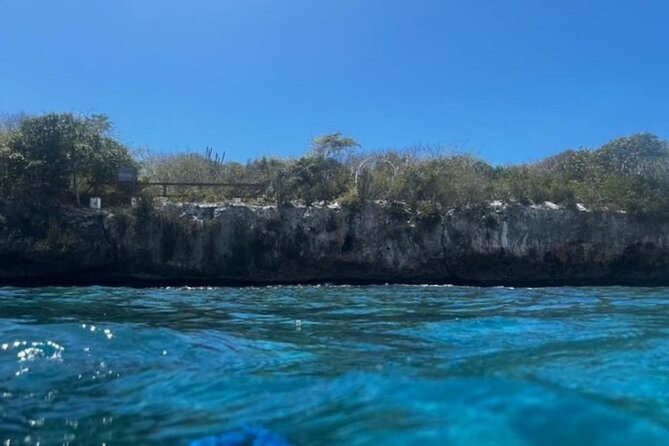 Fantastic Catalina island, beach and depth - Cruising the Chavón River for two hours