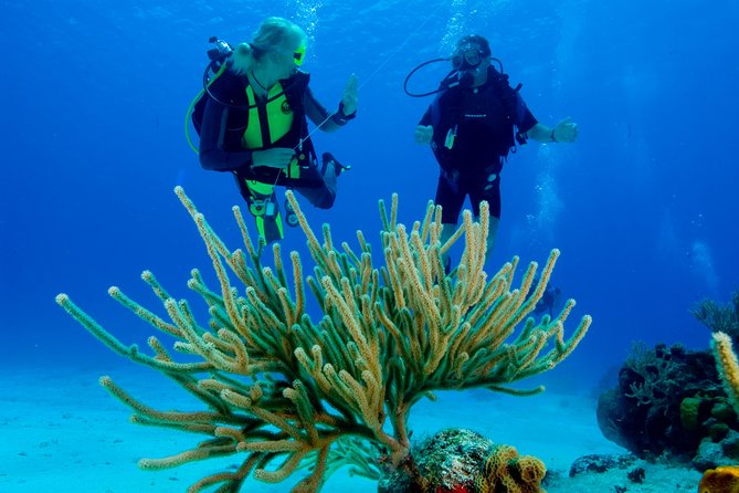 First Time Scuba Diving Experience in Punta Cana - What the $199 Price Really Covers