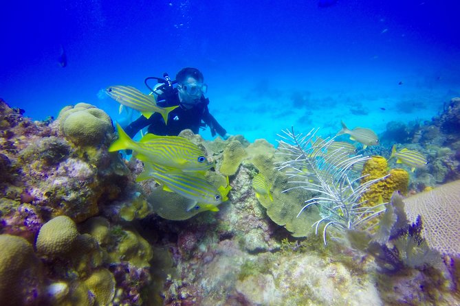 First Time Scuba Diving Experience in Punta Cana - Small Details That Make the Morning Easier