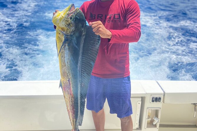Fishing And Eating Straight From The Sea ( SAONA ISLAND AND PALMILLA) - Cruising to Palmilla’s natural pool