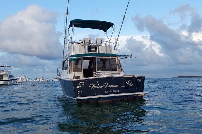 FISHING PRO CHARTERS - Boat Excursion - Divina - What is included for $550