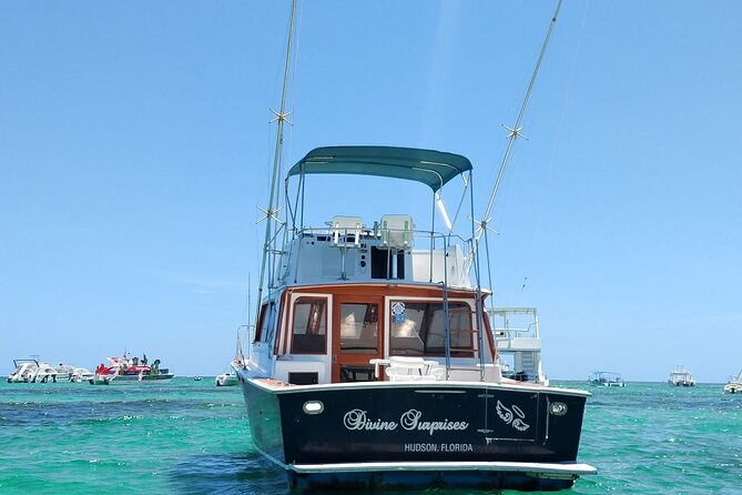 FISHING PRO CHARTERS - Boat Excursion - Divina - The first run offshore and the search for fish