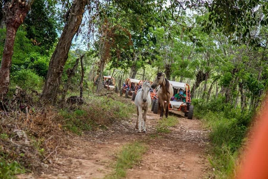 Flintstones Buggy, Cave and Adventure in Bavaro - Bedrock City and the playful Flintstones theme