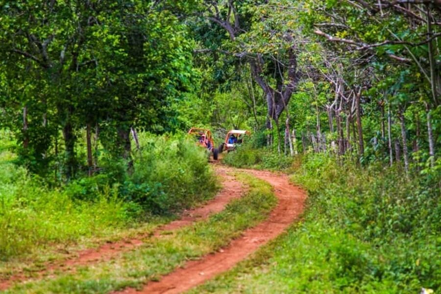 Flintstones Buggy, Cave and Adventure in Bavaro - Who should book this Bavaro adventure?
