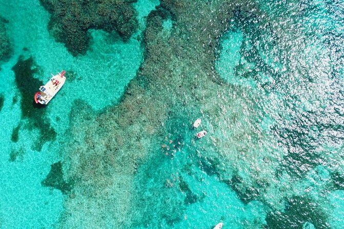 Float & Feast Private Party Cruise with Premium Buffet & Open Bar - Who will get the most from this cruise