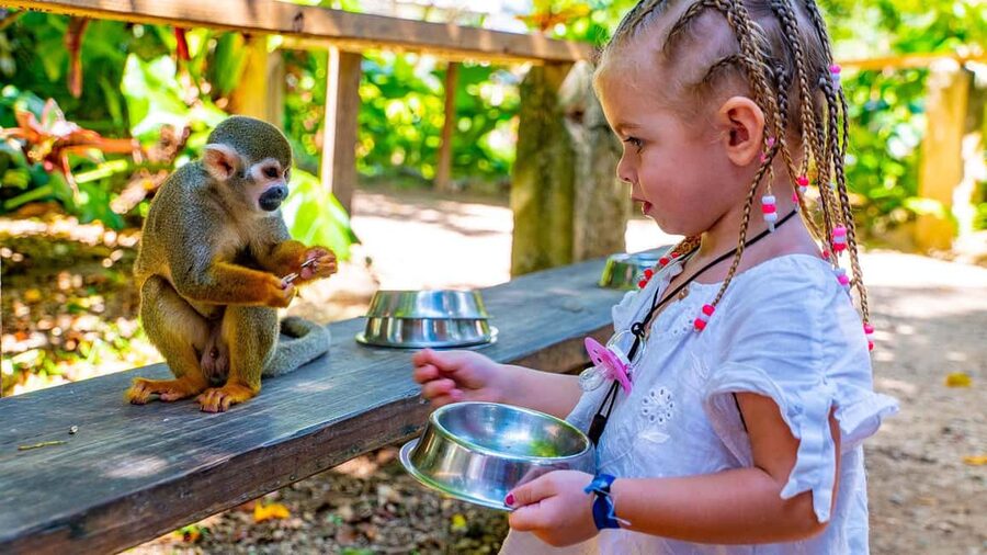 From Bayahibe: Half Day Monkeyland Safari - Meeting the squirrel monkeys at Monkeyland
