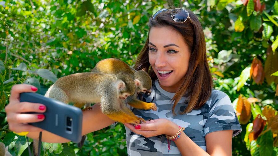 From Bayahibe: Half Day Monkeyland Safari - Practical limits and who should skip it