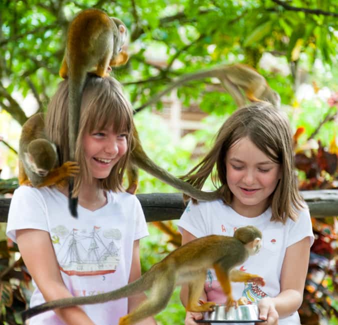 From Bayahibe: Half Day Monkeyland Safari - The country house and a taste of Dominican farming