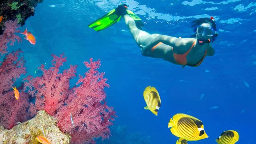 From Punta Cana: Catalina Island Swim, Sail & Snorkel - The boat ride sets the mood