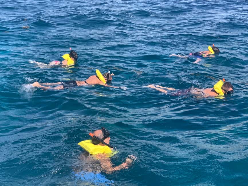 From Punta Cana: Catalina Island Swim, Sail & Snorkel - Lunch, drinks, and the value of the package
