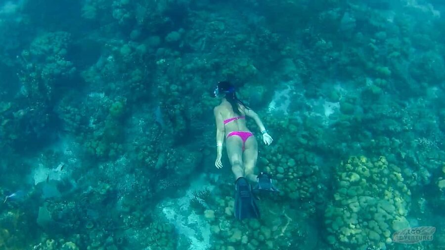 From Punta Cana: Catalina Snorkeling & Altos de Chavon Tour - Why this Punta Cana excursion is worth considering
