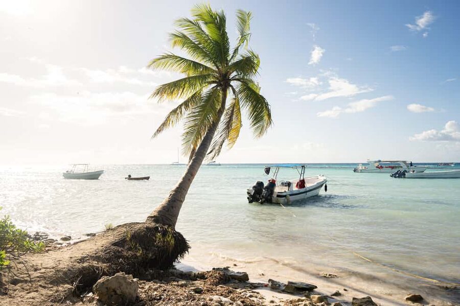 From Punta Cana: Catamaran Tour to Saona Island with Open Bar and Buffet - Why Saona Island makes a strong Punta Cana day trip