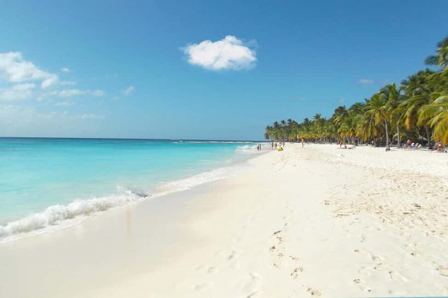 From Punta Cana: Catamaran Tour to Saona Island with Open Bar and Buffet - A Dominican buffet lunch by the beach